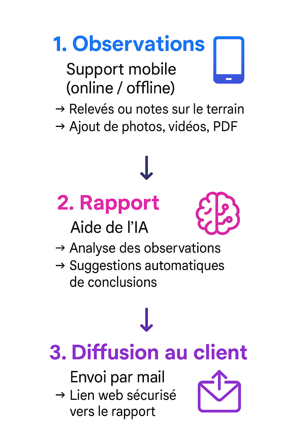 Processus Auditeo - Du terrain au rapport en 3 étapes
